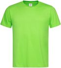 kiwi_green
