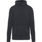 Image produit Sweat capuche homme à kv2315