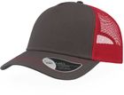 dark_grey/red