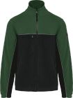 black/forest_green