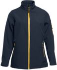 navy/gold