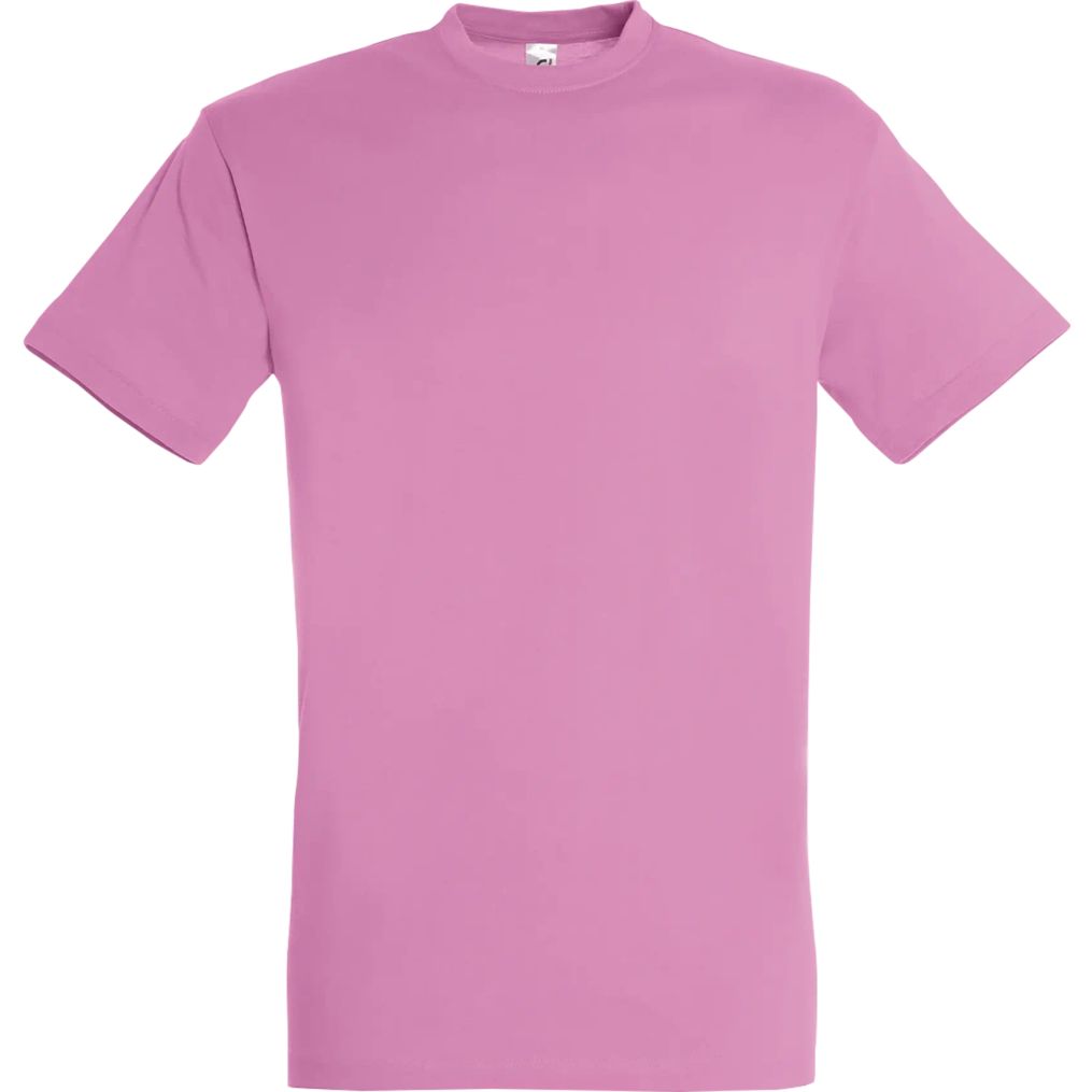 Image produit Regent Tee shirt coton uni 11380