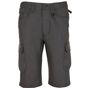 Image produit Ranger pro Short Bermuda workwear 01563