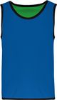 sporty_royal_blue/green