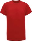 fire_red