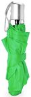vert_fougere