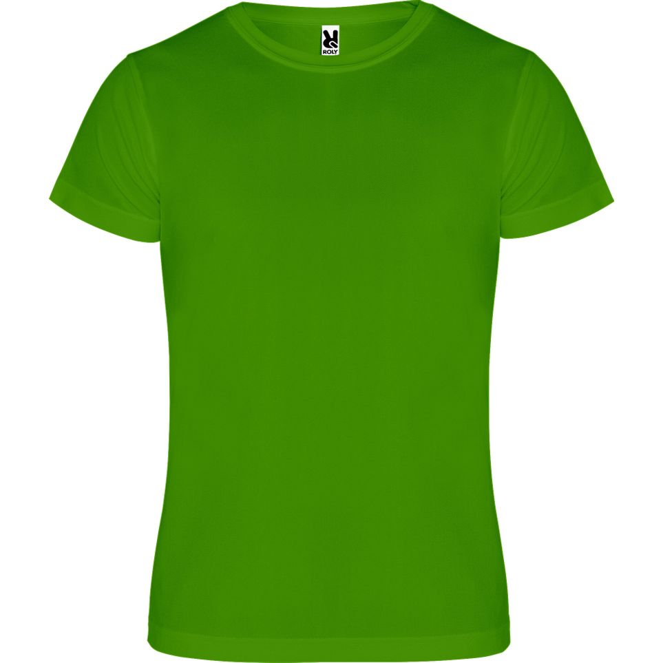 vert_fougere