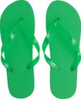 vert_fougere