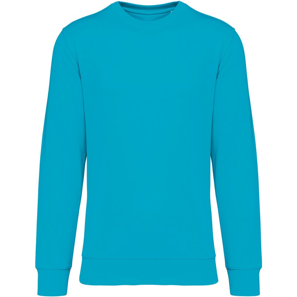 light_turquoise
