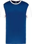 dark_royal_blue/white