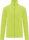 fluorescent_yellow